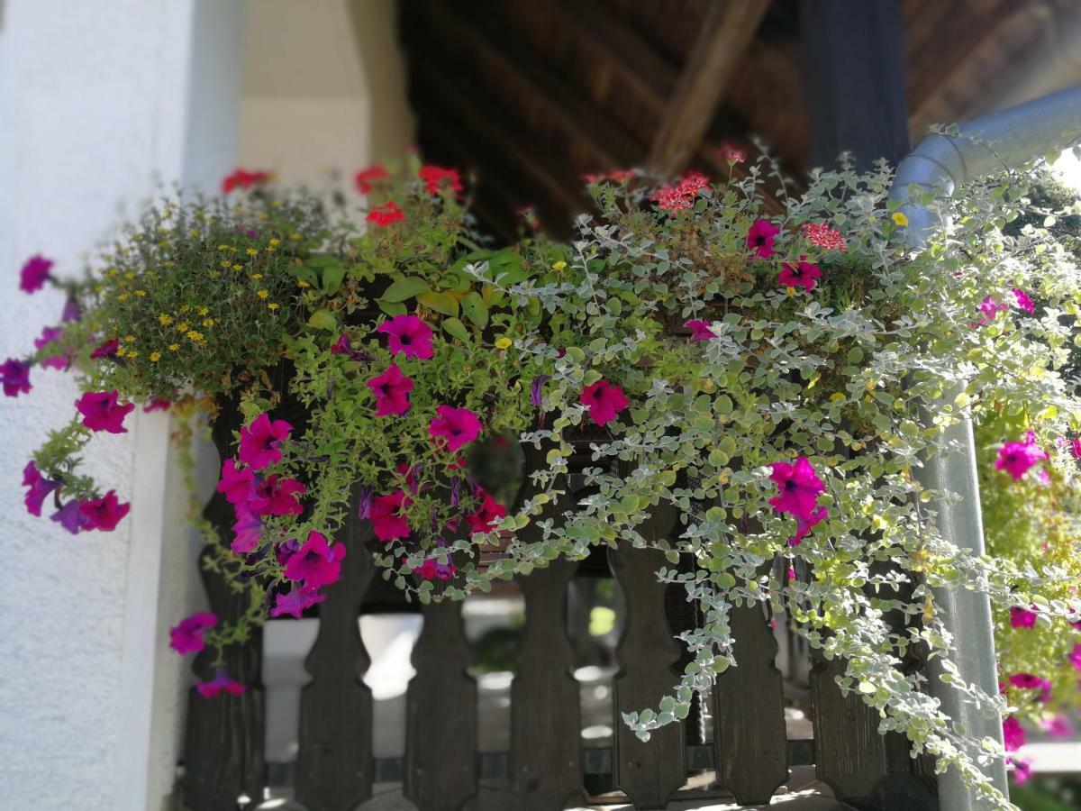 Guest House Stefanija โพลยานัค ภายนอก รูปภาพ